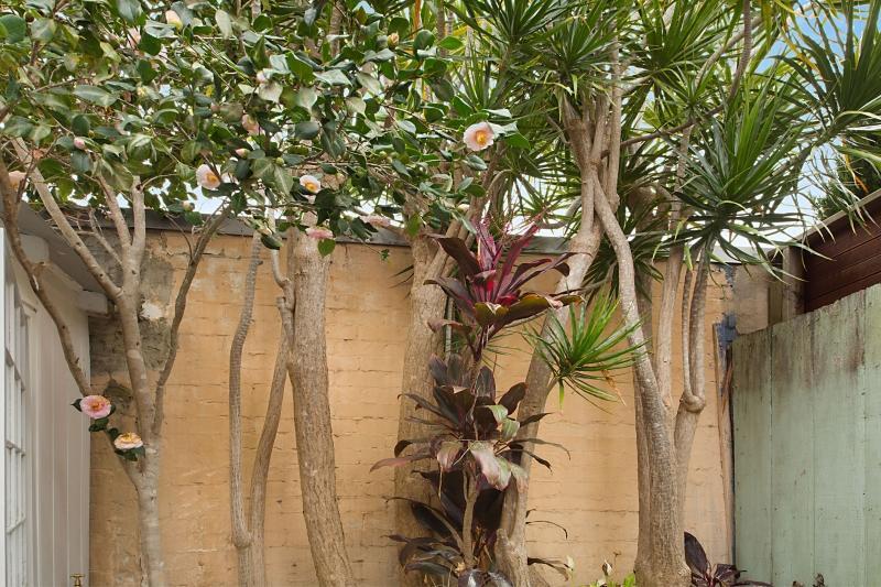 Paddington Garden Cottage With Fast Wifi Sydney Eksteriør bilde